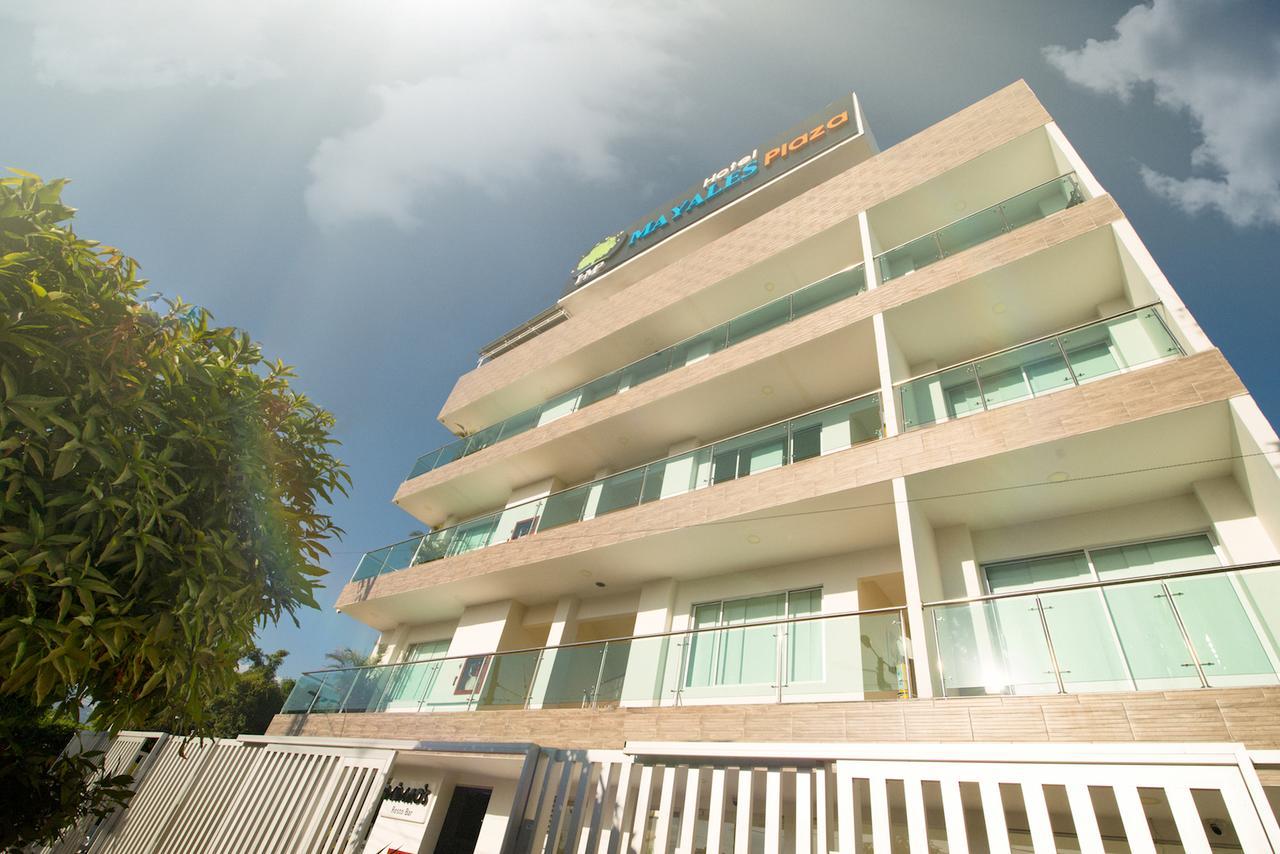 Hotel Metropolitano Plaza 巴耶杜帕尔 外观 照片