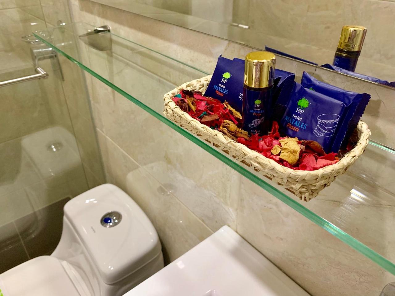 Hotel Metropolitano Plaza 巴耶杜帕尔 外观 照片